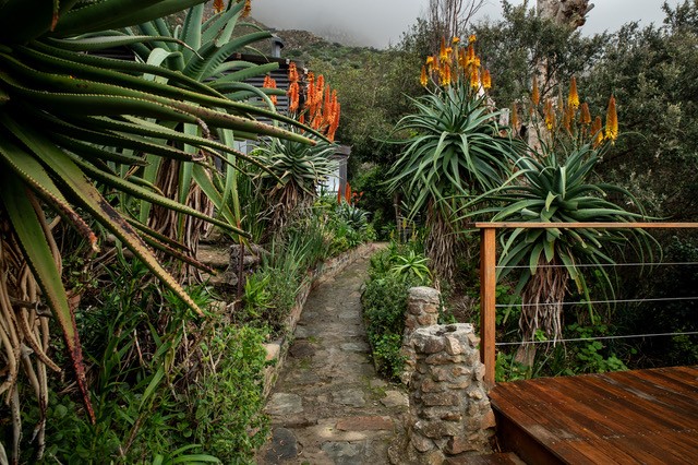 Stone Cottage 1